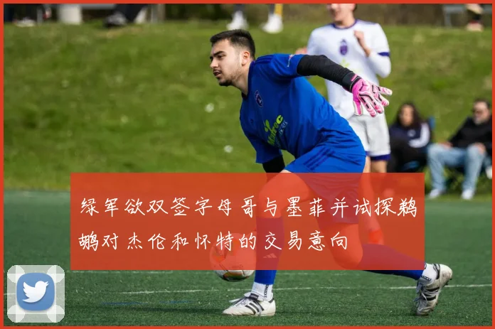 绿军欲双签字母哥与墨菲并试探鹈鹕对杰伦和怀特的交易意向