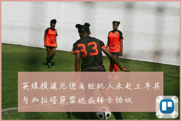 英媒报道厄德高经纪人未赴土耳其与加拉塔萨雷达成转会协议